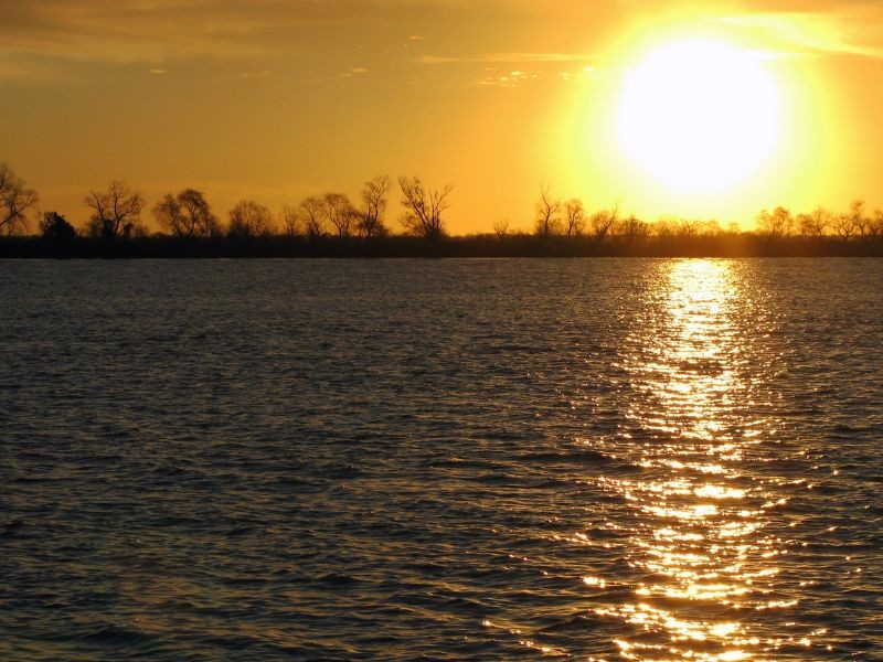 Sarandi